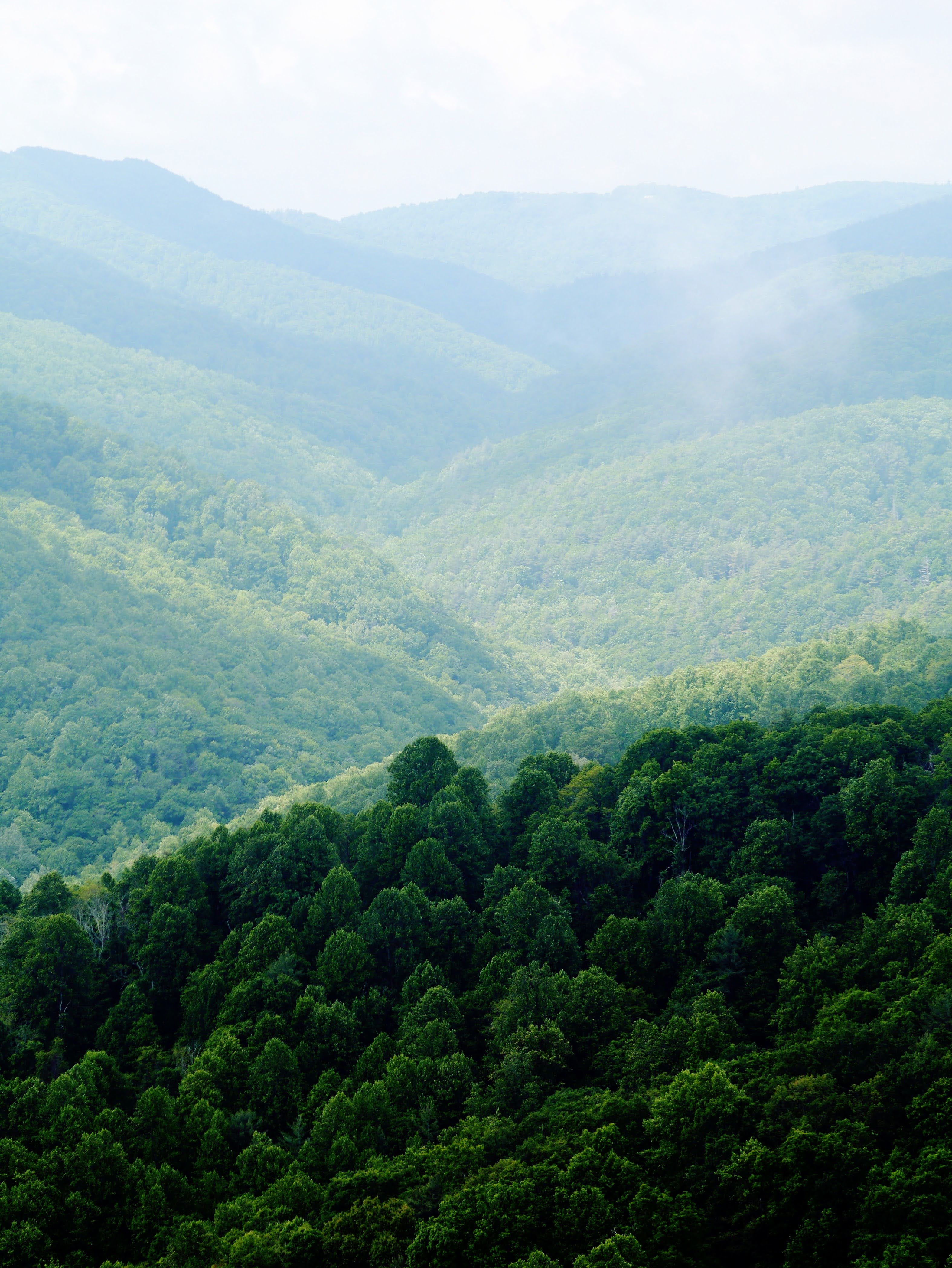 Primland Resort Blue Ridge Mountains 33