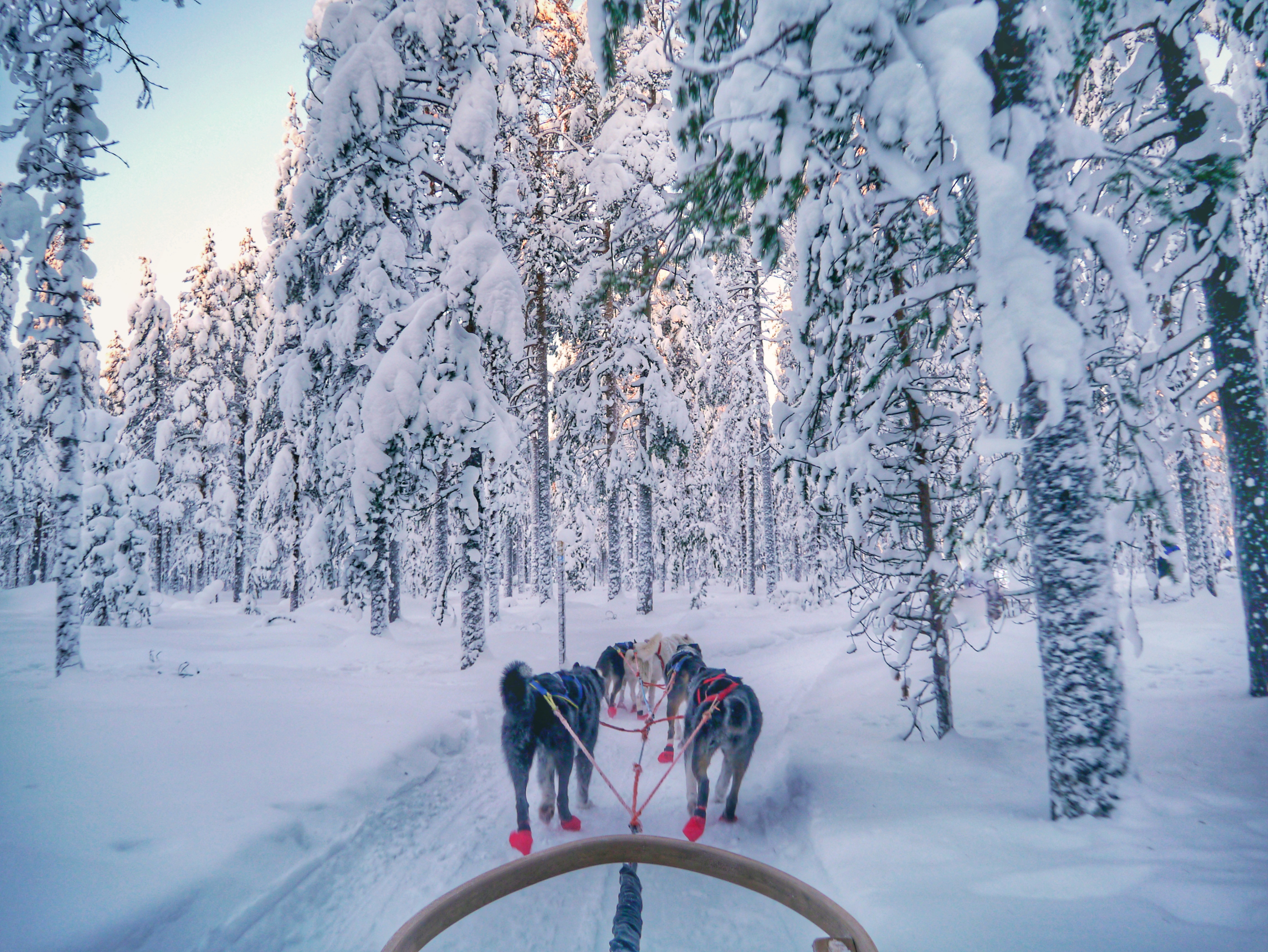 Rovaniemi Lapland Finland winter 5