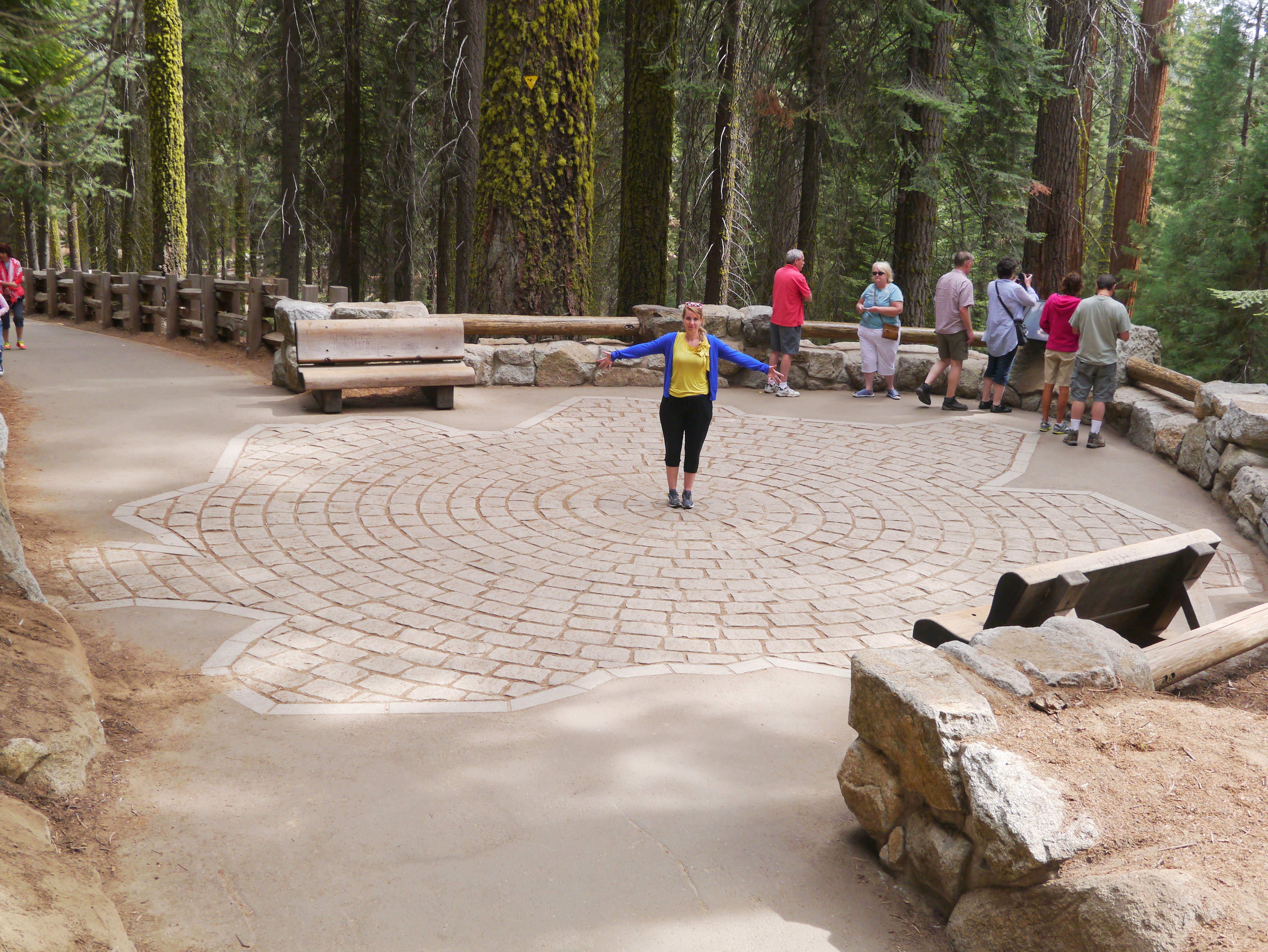 Sequoia National Park 6
