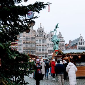 Winter in Antwerpen 18