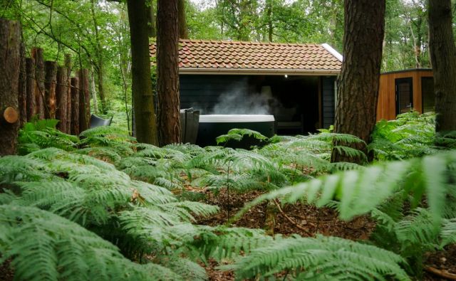 Het boshuis bij Parel in het groen