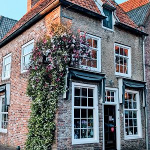 Een oud huis in Grave met klimop op de muur