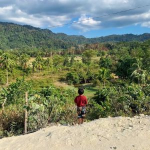 foto jongetje uitkijkend over jungle Filipijnen