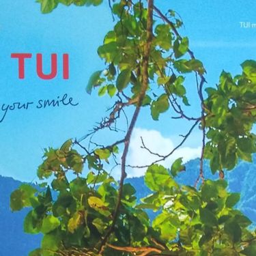 TUI magazine