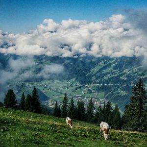 Zillertal Tirol Oostenrijk uitzicht bergen