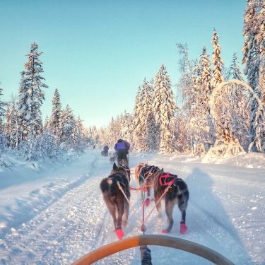 Rovaniemi | Lapland