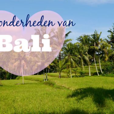 Niet te missen op Bali