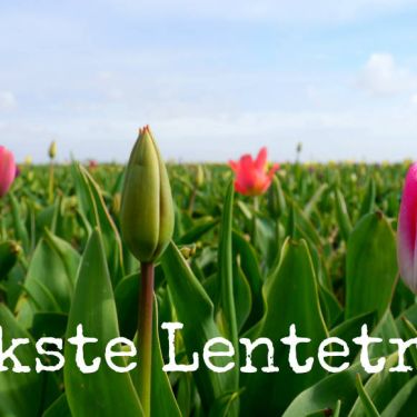 Leukste Lentetrips